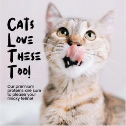 Sprankles Duck Hearts Grain-Free Freeze-Dried Cat & Dog Treat 12 Sprankles Duck Hearts Grain-Free Freeze-Dried Cat & Dog Treat -Blue Buffalo || ROYAL CANIN || Wellness Sales 842990 PT4. AC SS1800 V1683817250