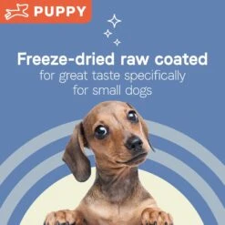 CANIDAE Pure Petite Premium Recipe Puppy Chicken & Wholesome Grains Dry Dog Food, 4-lb Bag -Blue Buffalo || ROYAL CANIN || Wellness Sales 843158 PT4. AC SS1800 V1683041377