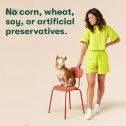 Jinx Salmon, Brown Rice & Sweet Potato ALS Kibble Dog Dry Food -Blue Buffalo || ROYAL CANIN || Wellness Sales 845246 PT6. AC SS1800 V1689709313