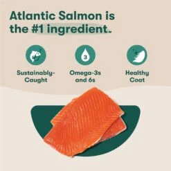 Jinx Salmon, Sweet Potato & Carrot ALS Kibble Dog Dry Food 12 Jinx Salmon, Sweet Potato & Carrot ALS Kibble Dog Dry Food -Blue Buffalo || ROYAL CANIN || Wellness Sales 845262 PT2. AC SS1800 V1689709313