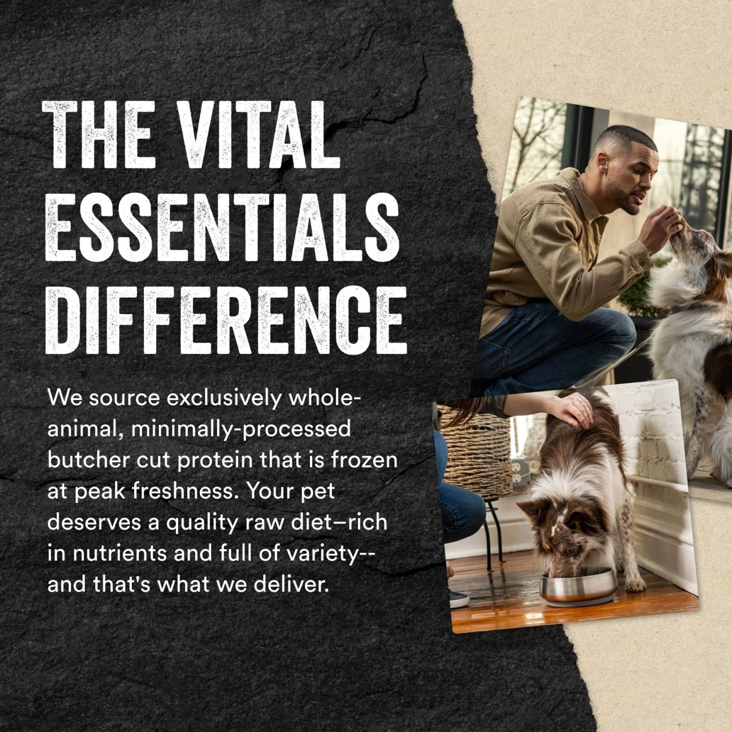 Vital Essentials Protein Mix-In Rabbit Recipe Mini Nibs Grain-Free Freeze-Dried Raw Dog Food Topper 8 Vital Essentials Protein Mix-In Rabbit Recipe Mini Nibs Grain-Free Freeze-Dried Raw Dog Food Topper - Image 6