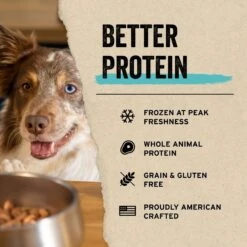 Vital Essentials Protein Mix-In Salmon Recipe Mini Nibs Grain-Free Freeze-Dried Raw Dog Food Topper 11 Vital Essentials Protein Mix-In Salmon Recipe Mini Nibs Grain-Free Freeze-Dried Raw Dog Food Topper -Blue Buffalo || ROYAL CANIN || Wellness Sales 846246 PT3. AC SS1800 V1687961451