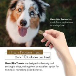 Liver Bits Freeze-Dried Raw Dog Treats, 4-oz Bag -Blue Buffalo || ROYAL CANIN || Wellness Sales 84726 PT3. AC SS1800 V1687360457