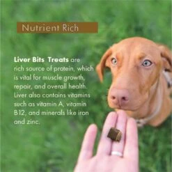 Liver Bits Freeze-Dried Raw Dog Treats, 4-oz Bag -Blue Buffalo || ROYAL CANIN || Wellness Sales 84726 PT6. AC SS1800 V1687360458