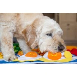 Injoya Breakfast Cat & Dog Snuffle Mat, Blue, Large 7 Injoya Breakfast Cat & Dog Snuffle Mat, Blue, Large -Blue Buffalo || ROYAL CANIN || Wellness Sales 848038 PT2. AC SS1800 V1683732043