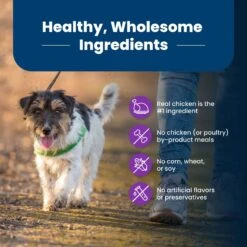 Blue Buffalo Life Protection Formula Toy Breed Adult Chicken & Brown Rice Recipe Dry Dog Food -Blue Buffalo || ROYAL CANIN || Wellness Sales 84980 PT5. AC SS1800 V1701982276