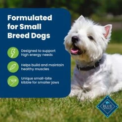 Blue Buffalo Life Protection Formula Small Breed Adult Lamb & Brown Rice Recipe Dry Dog Food -Blue Buffalo || ROYAL CANIN || Wellness Sales 84991 PT3. AC SS1800 V1702597411