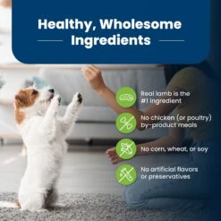 Blue Buffalo Life Protection Formula Small Breed Adult Lamb & Brown Rice Recipe Dry Dog Food -Blue Buffalo || ROYAL CANIN || Wellness Sales 84991 PT5. AC SS1800 V1702597410