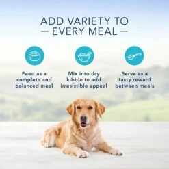 Blue Buffalo Family Favorite Grain-Free Recipes Turkey Day Feast Canned Dog Food -Blue Buffalo || ROYAL CANIN || Wellness Sales 85001 PT4. AC SS1800 V1572895725