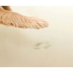 Friends Forever Harper Orthopedic Couch Bolster Sofa With Removable Cover Cat & Dog Bed, Grey -Blue Buffalo || ROYAL CANIN || Wellness Sales 851342 PT4. AC SS1800 V1683836274