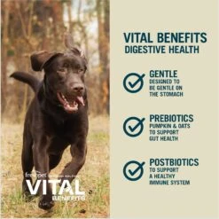 Freshpet Vital Benefits Digestive Health Fresh Dog Food -Blue Buffalo || ROYAL CANIN || Wellness Sales 853750 PT4. AC SS1800 V1683651877