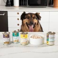Weruva Bed & Breakfast With Chicken, Egg, Pumpkin & Ham In Gravy Grain-Free Canned Dog Food -Blue Buffalo || ROYAL CANIN || Wellness Sales 85386 PT6. AC SS1800 V1696009394