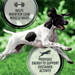 Iams Proactive Health Active Chicken & Turkey Recipe High Protein Adult Dry Dog Food & Pedigree Choice Cuts In Gravy Variety Pack Adult Wet Dog Food, 3.5-oz Pouch, Case Of 30 18 Iams Proactive Health Active Chicken & Turkey Recipe High Protein Adult Dry Dog Food & Pedigree Choice Cuts In Gravy Variety Pack Adult Wet Dog Food, 3.5-oz Pouch, Case Of 30 -Blue Buffalo || ROYAL CANIN || Wellness Sales 854502 PT7. AC SS1800 V1683810469