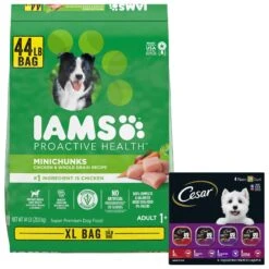 Iams Proactive Health MiniChunks Small Kibble Adult Chicken & Whole Grain Dry Dog Food & Cesar Classic Loaf In Sauce Beef Recipe, Filet Mignon, Grilled Chicken & Porterhouse Steak Flavors Variety Pack Grain-Free Small Breed Adult Wet Dog Food Trays