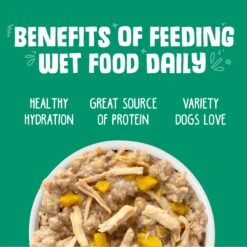 Weruva That's My Jam! With Chicken & Lamb In Gelee Grain-Free Canned Dog Food -Blue Buffalo || ROYAL CANIN || Wellness Sales 85492 PT4. AC SS1800 V1696009456