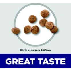 Hill's Science Diet Puppy Small & Mini Chicken Meal & Brown Rice Recipe Dry Dog Food 15 Hill's Science Diet Puppy Small & Mini Chicken Meal & Brown Rice Recipe Dry Dog Food -Blue Buffalo || ROYAL CANIN || Wellness Sales 855614 PT4. AC SS1800 V1683901178