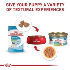Royal Canin Size Health Nutrition X-Small Puppy Dry Dog Food 14 Royal Canin Size Health Nutrition X-Small Puppy Dry Dog Food -Blue Buffalo || ROYAL CANIN || Wellness Sales 855830 PT5. AC SS1800 V1683896949