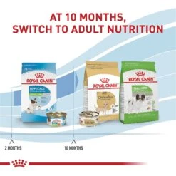 Royal Canin Size Health Nutrition X-Small Puppy Dry Dog Food 15 Royal Canin Size Health Nutrition X-Small Puppy Dry Dog Food -Blue Buffalo || ROYAL CANIN || Wellness Sales 855830 PT6. AC SS1800 V1683897537