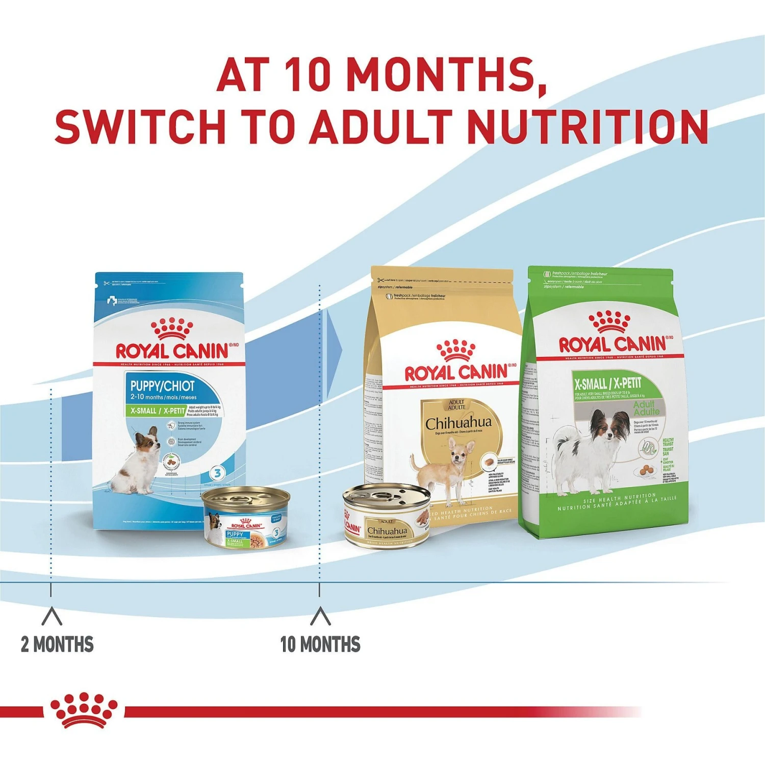 Royal Canin Size Health Nutrition X-Small Puppy Dry Dog Food 8 Royal Canin Size Health Nutrition X-Small Puppy Dry Dog Food - Image 6