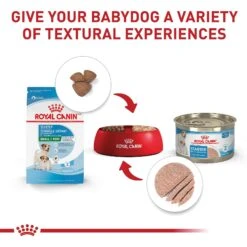 Royal Canin Size Health Nutrition Small Starter Mother & Babydog Dry Dog Food -Blue Buffalo || ROYAL CANIN || Wellness Sales 855846 PT5. AC SS1800 V1697212396