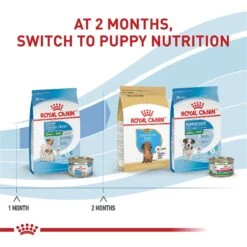 Royal Canin Size Health Nutrition Small Starter Mother & Babydog Dry Dog Food -Blue Buffalo || ROYAL CANIN || Wellness Sales 855846 PT6. AC SS1800 V1697216693