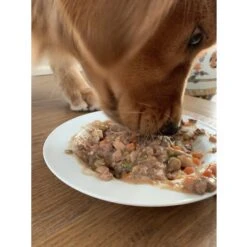 Caru Real Pork Stew Grain-Free Wet Dog Food 14 Caru Real Pork Stew Grain-Free Wet Dog Food -Blue Buffalo || ROYAL CANIN || Wellness Sales 85711 PT3. AC SS1800 V1528127896