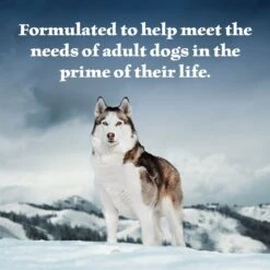 Blue Buffalo Wilderness Duck & Chicken Grill Grain-Free Canned Dog Food -Blue Buffalo || ROYAL CANIN || Wellness Sales 85742 PT3. AC SS1800 V1604359600