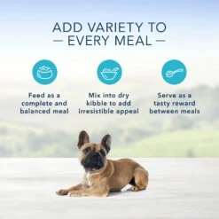Blue Buffalo Homestyle Recipe Small Breed Chicken Dinner Canned Dog Food 13 Blue Buffalo Homestyle Recipe Small Breed Chicken Dinner Canned Dog Food -Blue Buffalo || ROYAL CANIN || Wellness Sales 85755 PT4. AC SS1800 V1572895103