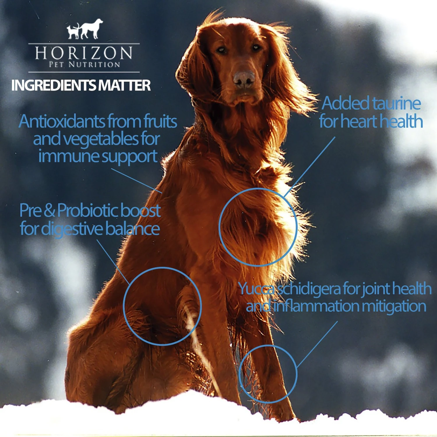 Horizon Complete Senior Weight Management Dry Dog Food 6 Horizon Complete Senior Weight Management Dry Dog Food - Image 4
