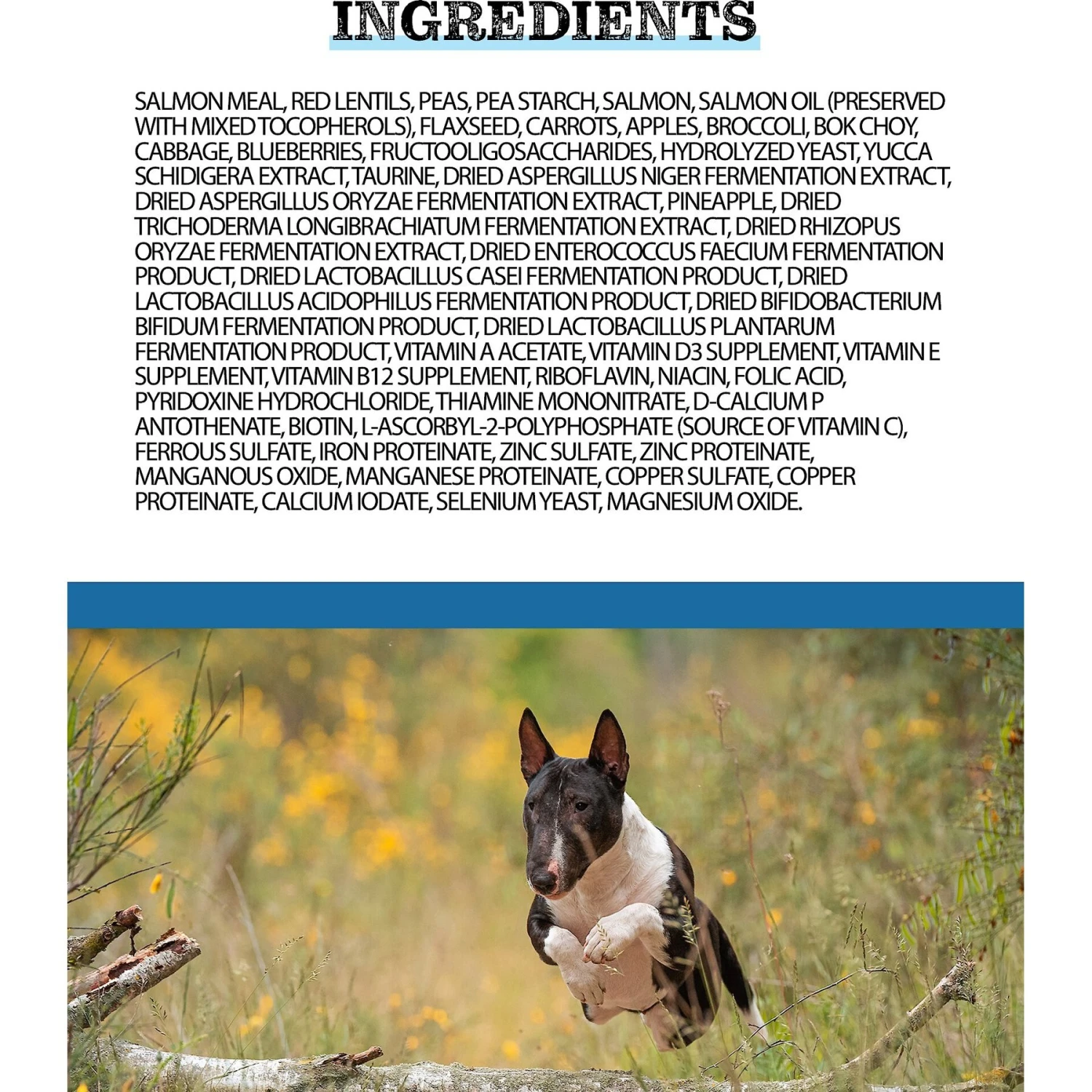 Horizon Pulsar Grain-Free Salmon Recipe Dry Dog Food 5 Horizon Pulsar Grain-Free Salmon Recipe Dry Dog Food - Image 3