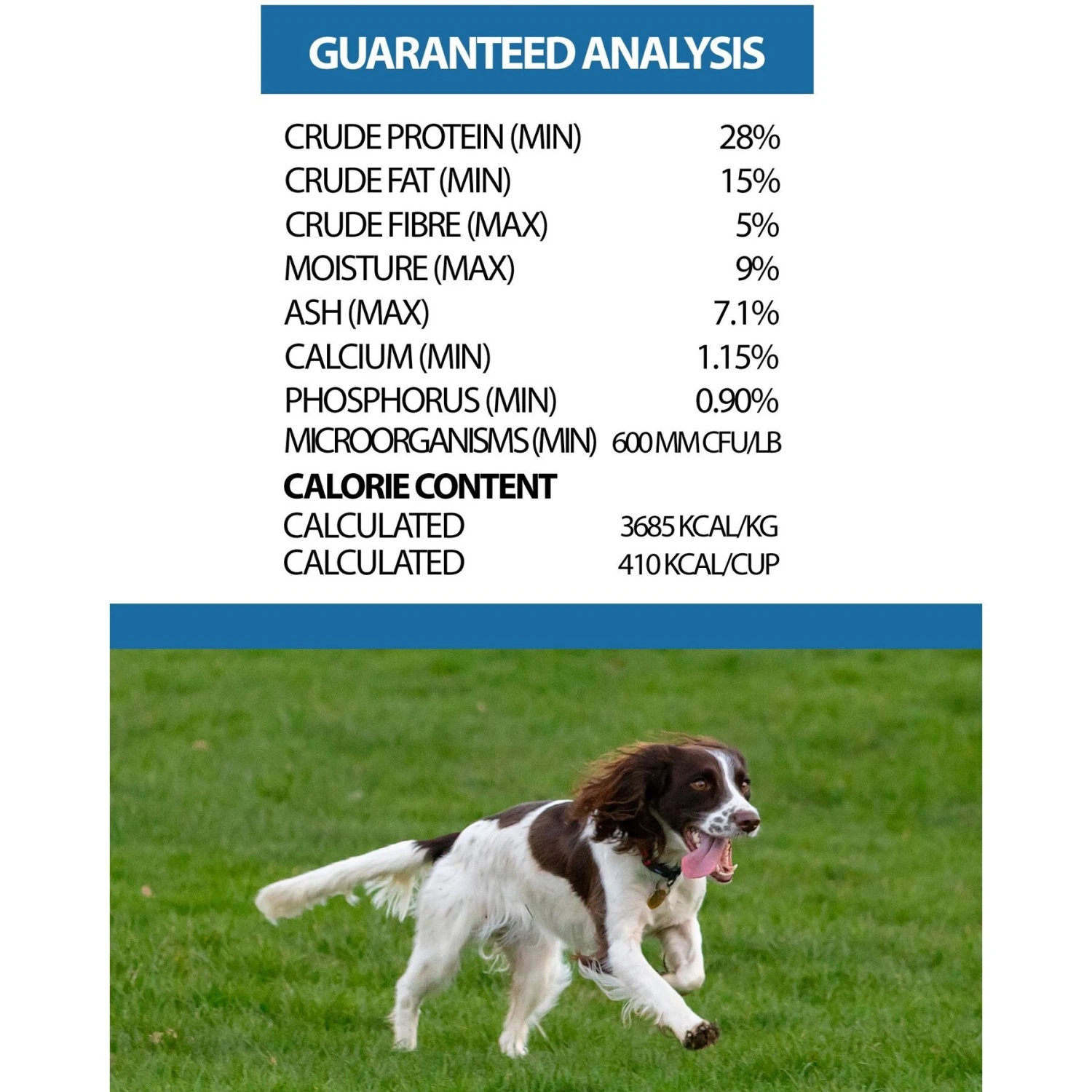 Horizon Pulsar Grain-Free Salmon Recipe Dry Dog Food 6 Horizon Pulsar Grain-Free Salmon Recipe Dry Dog Food - Image 4