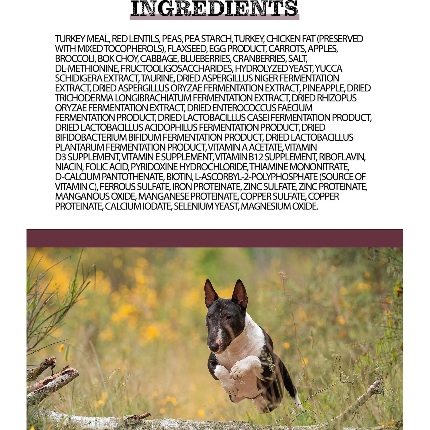 Horizon Pulsar Grain-Free Turkey Recipe Dry Dog Food 5 Horizon Pulsar Grain-Free Turkey Recipe Dry Dog Food - Image 3