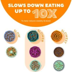 Outward Hound Fun Feeder Interactive Dog Bowl, Orange -Blue Buffalo || ROYAL CANIN || Wellness Sales 85929 PT1. AC SS1800 V1694440056