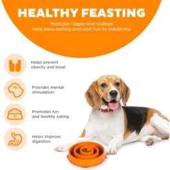 Outward Hound Fun Feeder Interactive Dog Bowl, Orange -Blue Buffalo || ROYAL CANIN || Wellness Sales 85929 PT3. AC SS1800 V1694440099