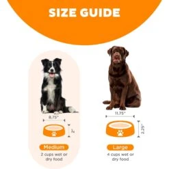 Outward Hound Fun Feeder Interactive Dog Bowl, Orange -Blue Buffalo || ROYAL CANIN || Wellness Sales 85929 PT4. AC SS1800 V1694286040