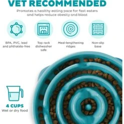 Outward Hound Non-Skid Plastic Slow Feeder Interactive Dog Bowl 13 Outward Hound Non-Skid Plastic Slow Feeder Interactive Dog Bowl -Blue Buffalo || ROYAL CANIN || Wellness Sales 85930 PT2. AC SS1800 V1694286712