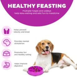 Outward Hound Fun Feeder Interactive Dog Bowl, Purple -Blue Buffalo || ROYAL CANIN || Wellness Sales 85933 PT3. AC SS1800 V1694440055