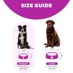 Outward Hound Fun Feeder Interactive Dog Bowl, Purple -Blue Buffalo || ROYAL CANIN || Wellness Sales 85933 PT4. AC SS1800 V1694286100