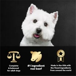 Cesar Filets In Gravy Prime Rib Adult Small Breed Wet Dog Food Trays 15 Cesar Filets In Gravy Prime Rib Adult Small Breed Wet Dog Food Trays -Blue Buffalo || ROYAL CANIN || Wellness Sales 86063 PT4. AC SS1800 V1695666353