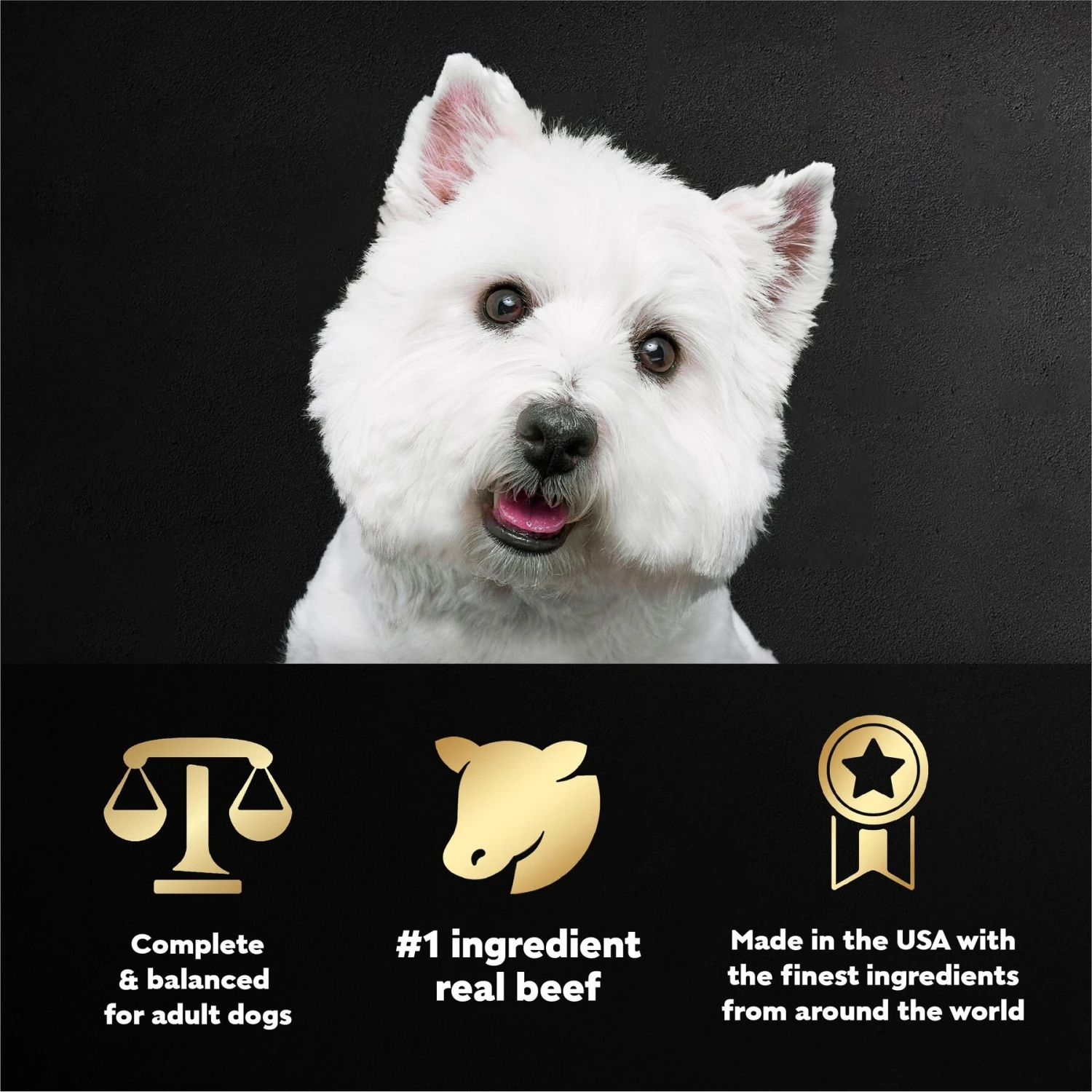 Cesar Filets In Gravy Prime Rib Adult Small Breed Wet Dog Food Trays 7 Cesar Filets In Gravy Prime Rib Adult Small Breed Wet Dog Food Trays - Image 5