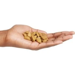 Purina Pro Plan Adult Shredded Blend Salmon & Rice Formula Dry Dog Food -Blue Buffalo || ROYAL CANIN || Wellness Sales 86251 PT2. AC SS1800 V1649216841