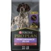 Purina Pro Plan Sport Performance All Life Stages High-Protein 30/20 Salmon & Rice Formula Dry Dog Food -Blue Buffalo || ROYAL CANIN || Wellness Sales 86279 MAIN. AC SS1800 V1649107635