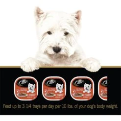 Cesar Classic Loaf In Sauce Oven Roasted Chicken Flavor Dog Food Trays 19 Cesar Classic Loaf In Sauce Oven Roasted Chicken Flavor Dog Food Trays -Blue Buffalo || ROYAL CANIN || Wellness Sales 86446 PT8. AC SS1800 V1621518486