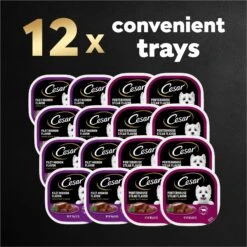 Cesar Classic Loaf In Sauce Filet Mignon & Porterhouse Steak Flavors Variety Pack Grain-Free Small Breed Adult Wet Dog Food Trays -Blue Buffalo || ROYAL CANIN || Wellness Sales 86450 PT8. AC SS1800 V1695746025