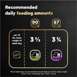 Cesar Classic Loaf In Sauce Top Sirloin & Grilled Chicken Flavors Variety Pack Grain-Free Small Breed Adult Wet Dog Food Trays -Blue Buffalo || ROYAL CANIN || Wellness Sales 86452 PT6. AC SS1800 V1695752284