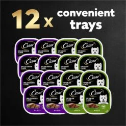 Cesar Classic Loaf In Sauce Top Sirloin & Grilled Chicken Flavors Variety Pack Grain-Free Small Breed Adult Wet Dog Food Trays -Blue Buffalo || ROYAL CANIN || Wellness Sales 86452 PT8. AC SS1800 V1695676401