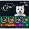Cesar Poultry Variety Pack With Real Chicken, Turkey & Duck Grain-Free Small Breed Adult Wet Dog Food Trays 1 Cesar Poultry Variety Pack With Real Chicken, Turkey & Duck Grain-Free Small Breed Adult Wet Dog Food Trays -Blue Buffalo || ROYAL CANIN || Wellness Sales 86458 MAIN. AC SS1800 V1695650084