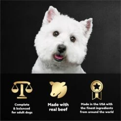 Cesar Filets In Gravy Beef Variety Pack Small Breed Adult Wet Dog Food Trays 15 Cesar Filets In Gravy Beef Variety Pack Small Breed Adult Wet Dog Food Trays -Blue Buffalo || ROYAL CANIN || Wellness Sales 86464 PT4. AC SS1800 V1695676461