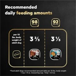 Cesar Home Delights Slow Cooked Chicken & Vegetables & Beef Stew Variety Pack Small Breed Adult Wet Dog Food Trays -Blue Buffalo || ROYAL CANIN || Wellness Sales 86476 PT6. AC SS1800 V1695750197