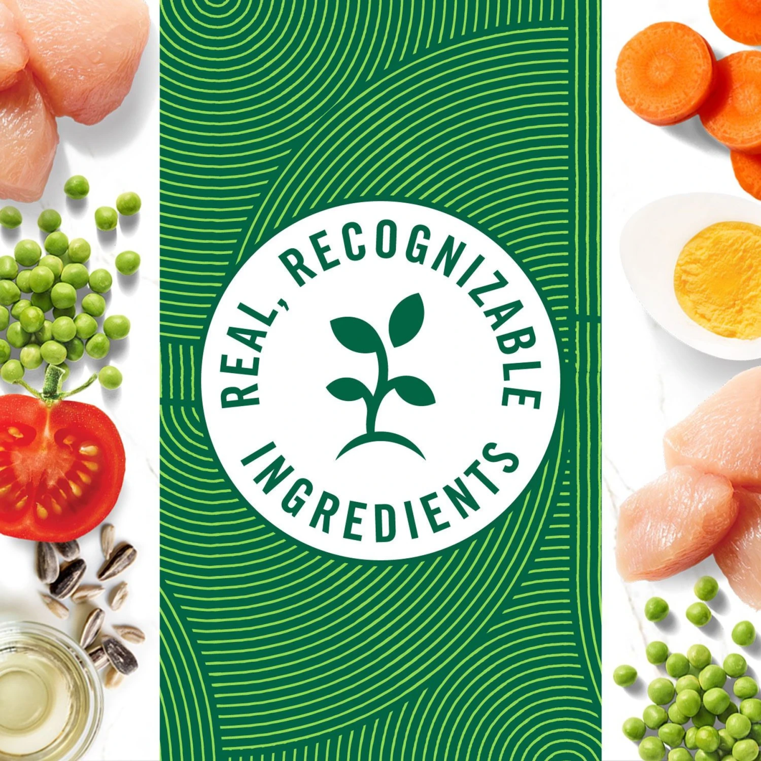 Nutro Hearty Stew Tender Chicken, Carrot & Pea Stew Grain-Free Canned Adult Wet Dog Food 7 Nutro Hearty Stew Tender Chicken, Carrot & Pea Stew Grain-Free Canned Adult Wet Dog Food - Image 5